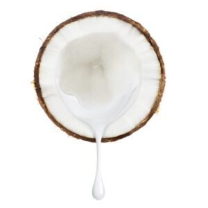 Organic Coconut Milk – 18% Fat
