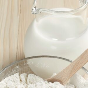 Organic Vegan Coconut Milk Powder